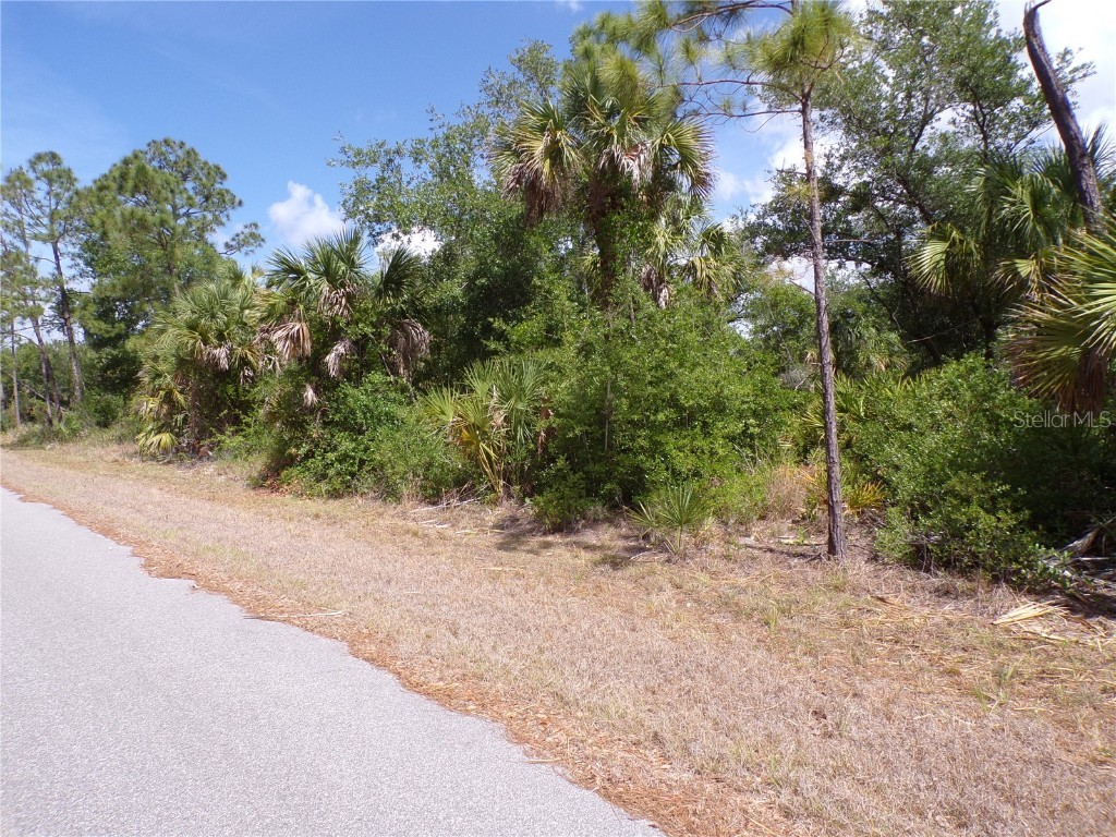 14448 Mcmillin Avenue Port Charlotte FL 33953 C7509411 image6