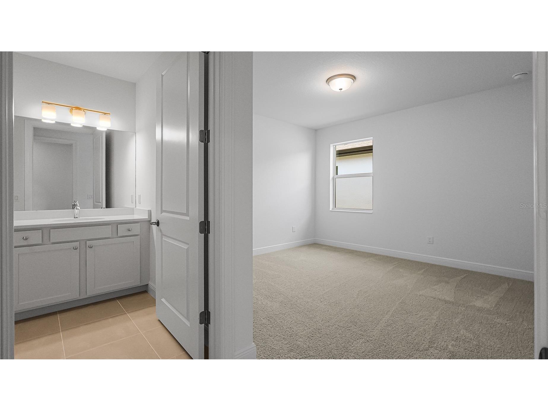 14448 Woodland Preserve Trail Parrish FL 34219 W7883241 image39