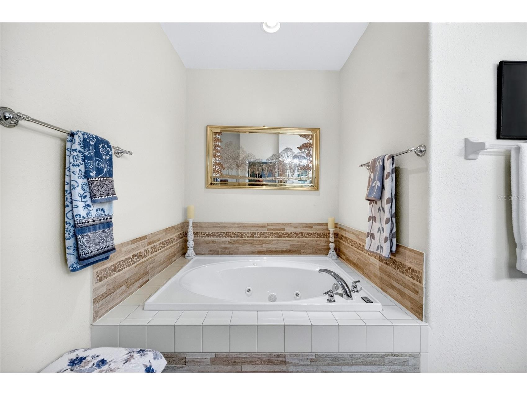 14449 Tarves Drive Hudson FL 34667 TB8519722 image21