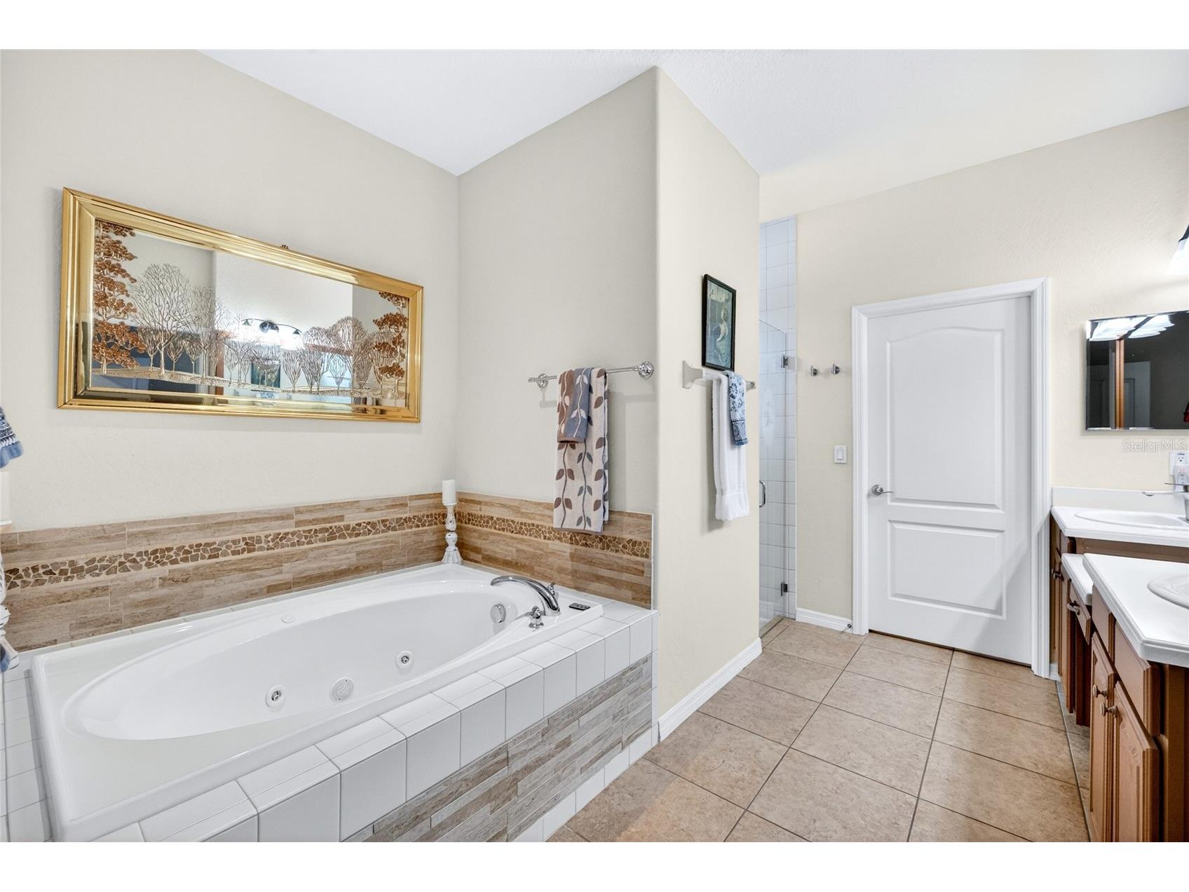 14449 Tarves Drive Hudson FL 34667 TB8519722 image23