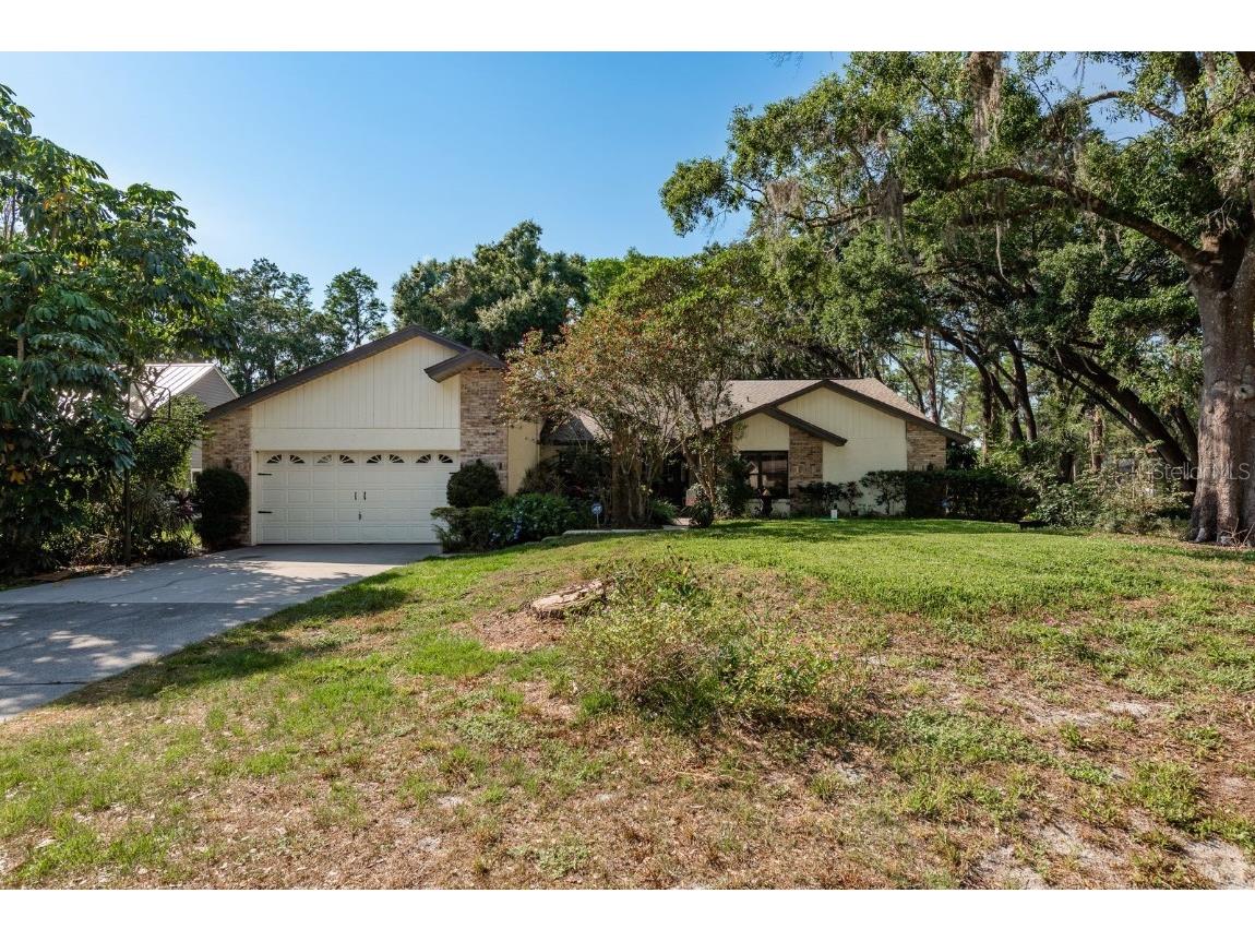 14449 Wadsworth Drive Odessa FL 33556 - LAKE ANN TB8393483 image1