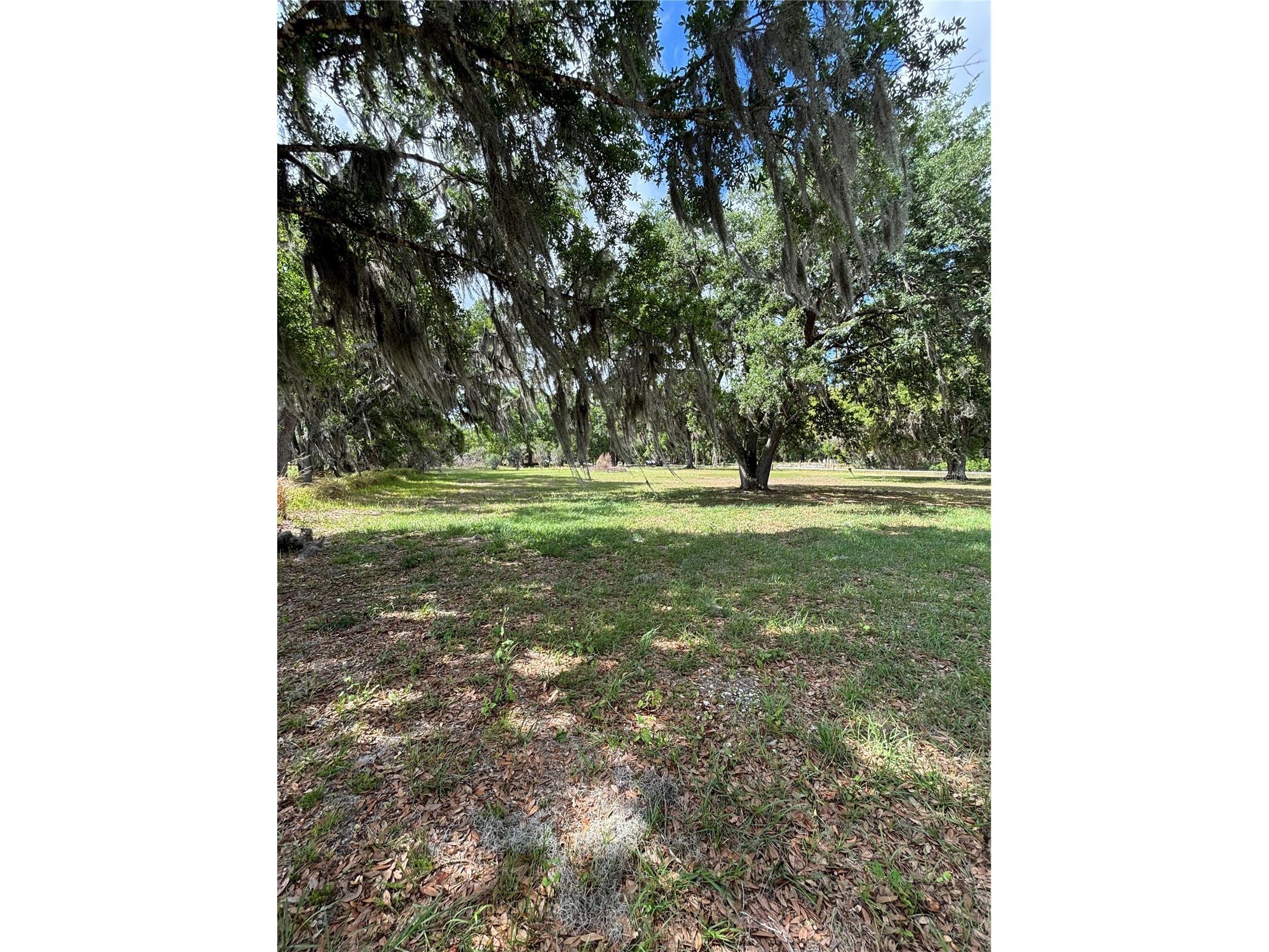 1445 Carter Street Auburndale FL 33823 L4960797 image12