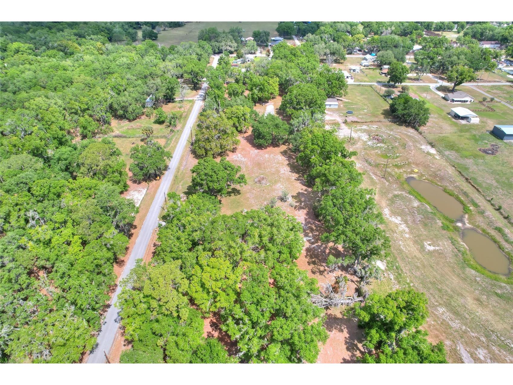 1445 Carter Street Auburndale FL 33823 L4960797 image13