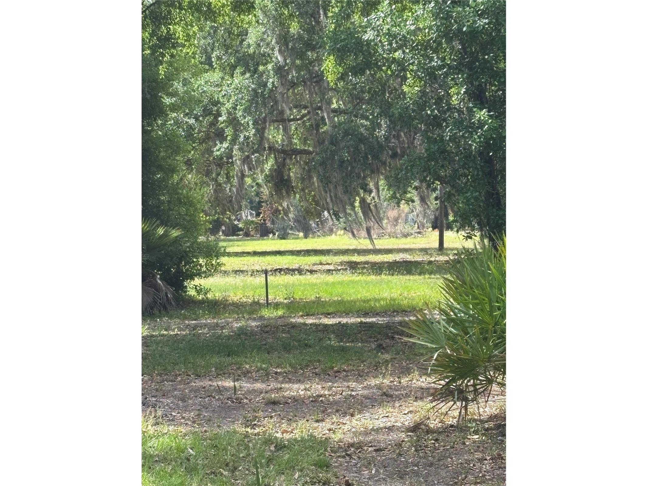 1445 Carter Street Auburndale FL 33823 L4960797 image23
