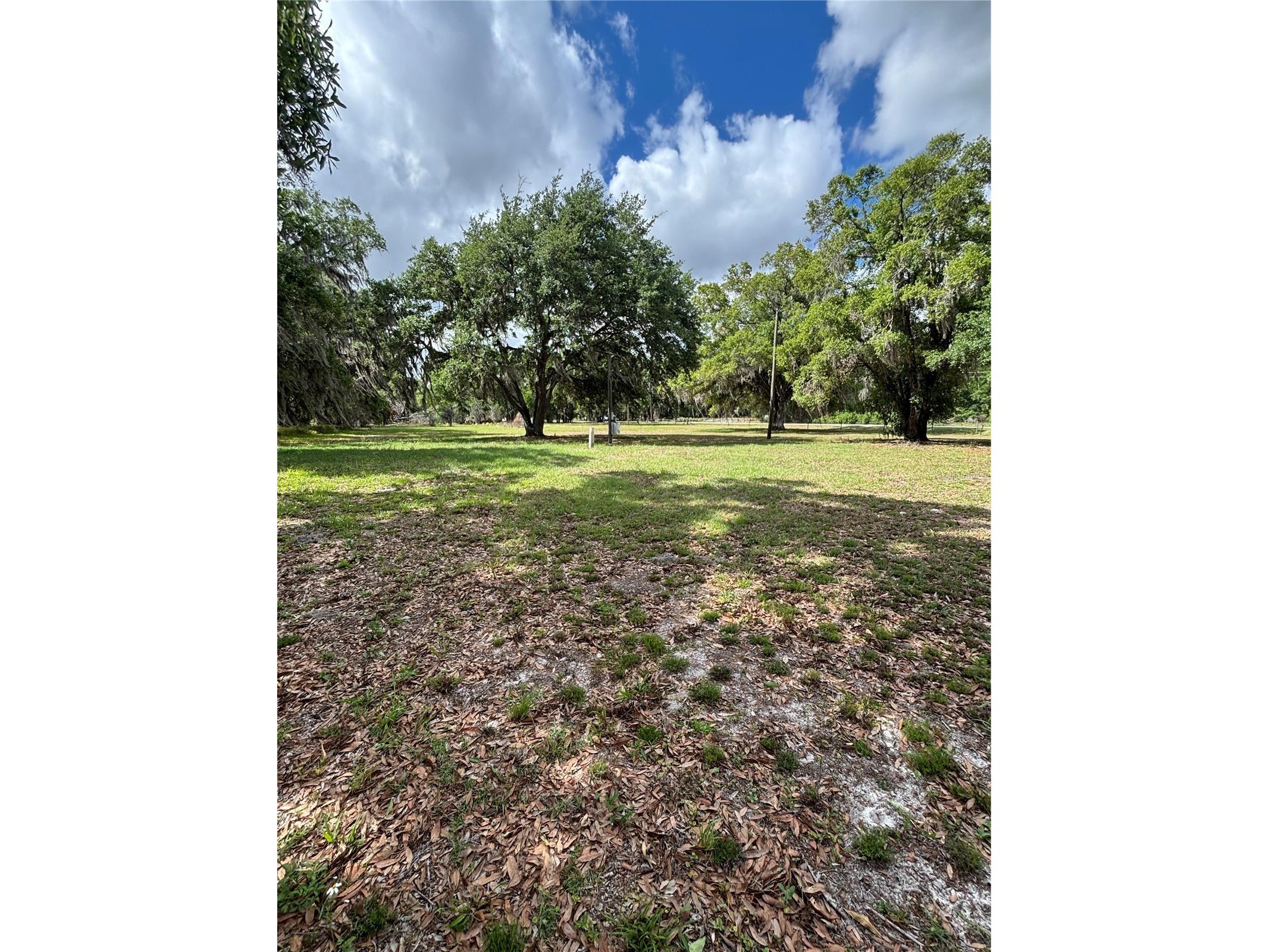 1445 Carter Street Auburndale FL 33823 L4960797 image4