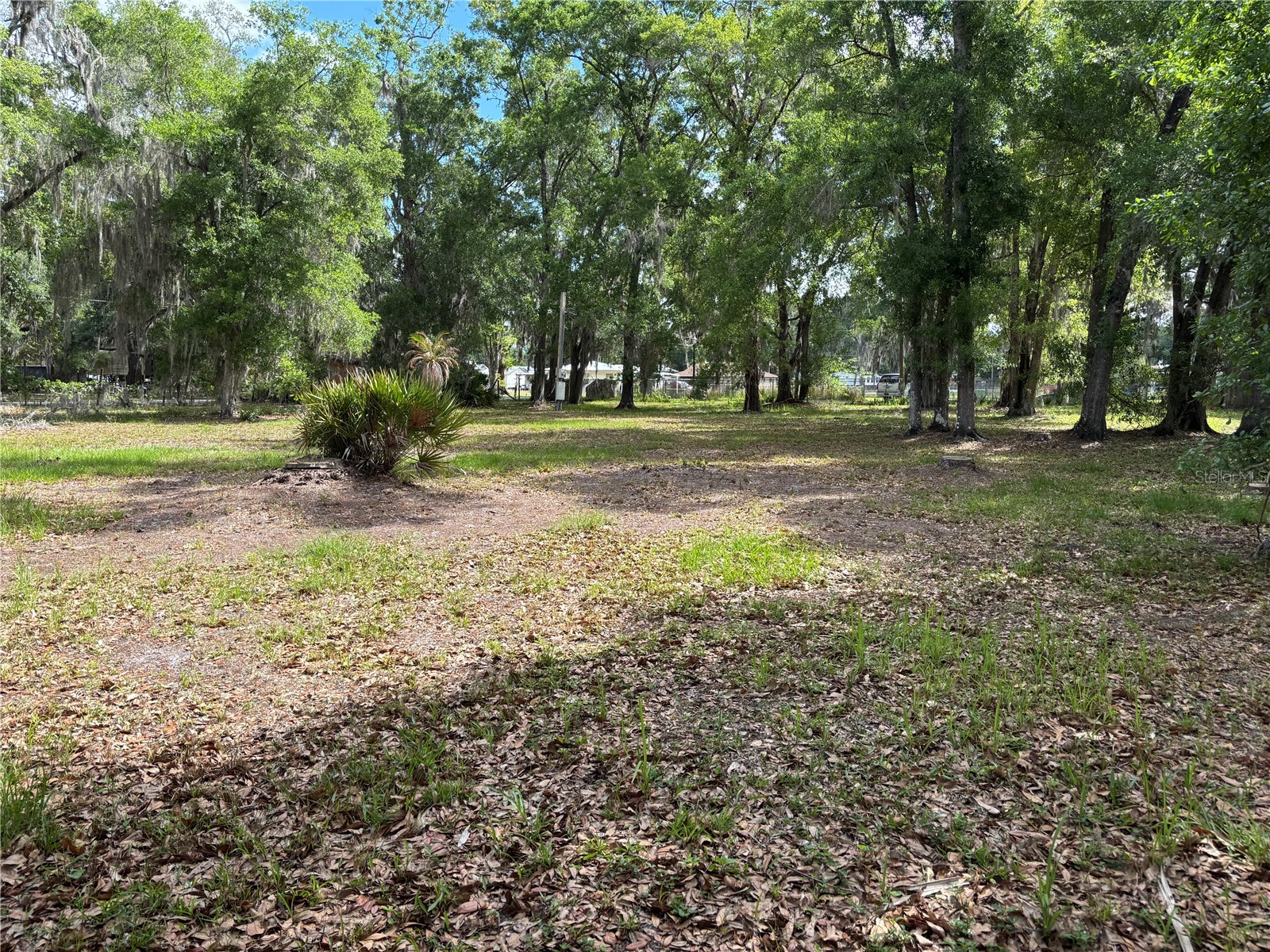 1445 Carter Street Auburndale FL 33823 L4960797 image7