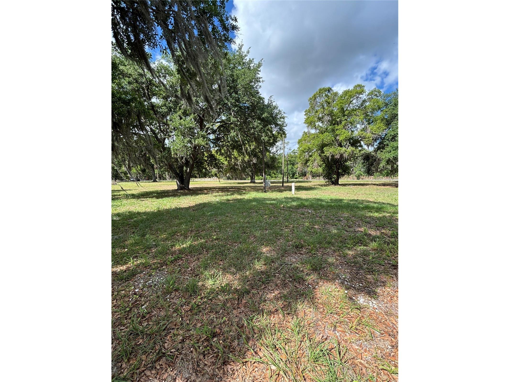 1445 Carter Street Auburndale FL 33823 L4960797 image9
