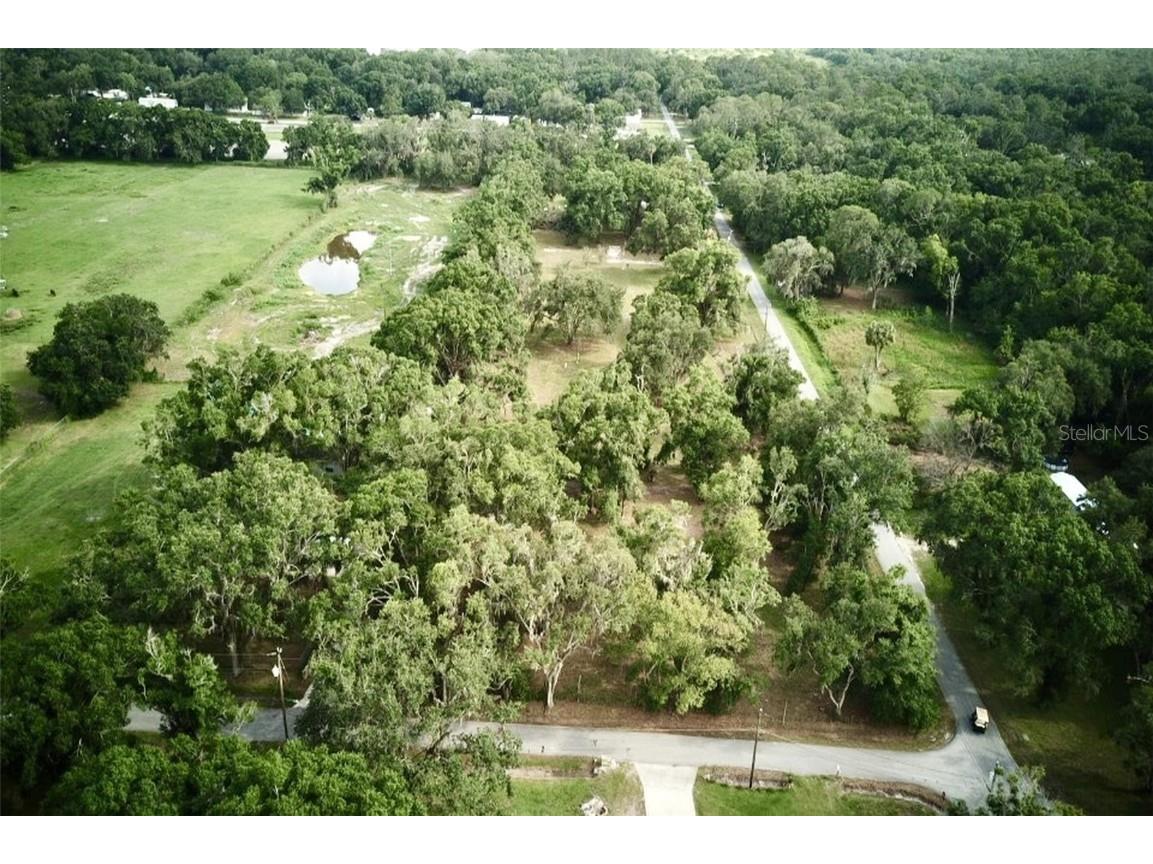 1445 Carter Street Auburndale FL 33823 TB8397715 image17