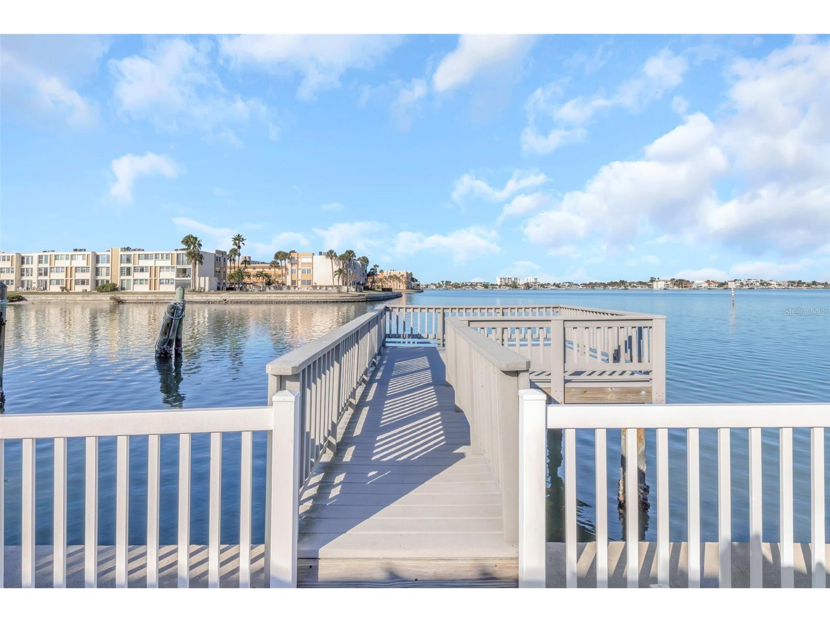 1445 Corey Way S South Pasadena FL 33707 - BOCA CIEGA BAY TB8475068 image46