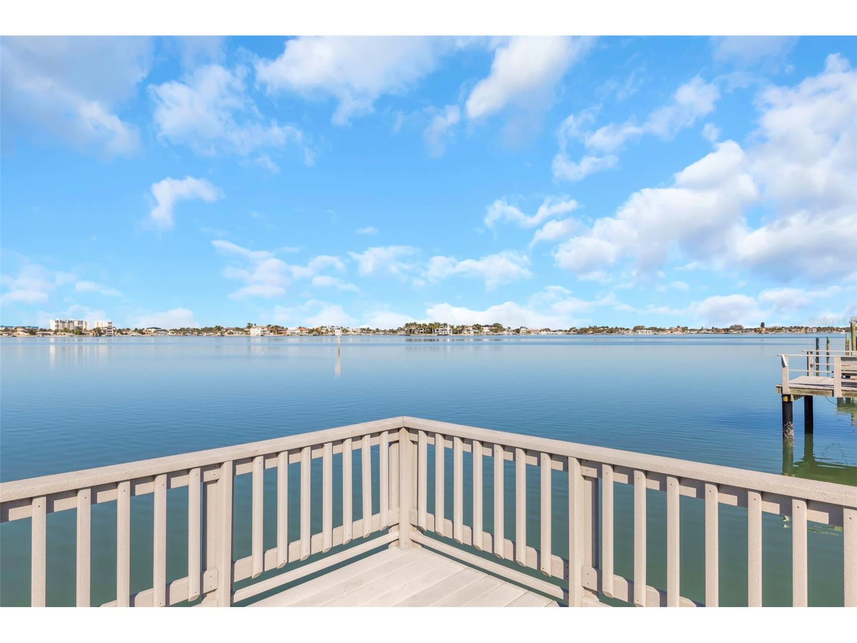 1445 Corey Way S South Pasadena FL 33707 - BOCA CIEGA BAY TB8475068 image48