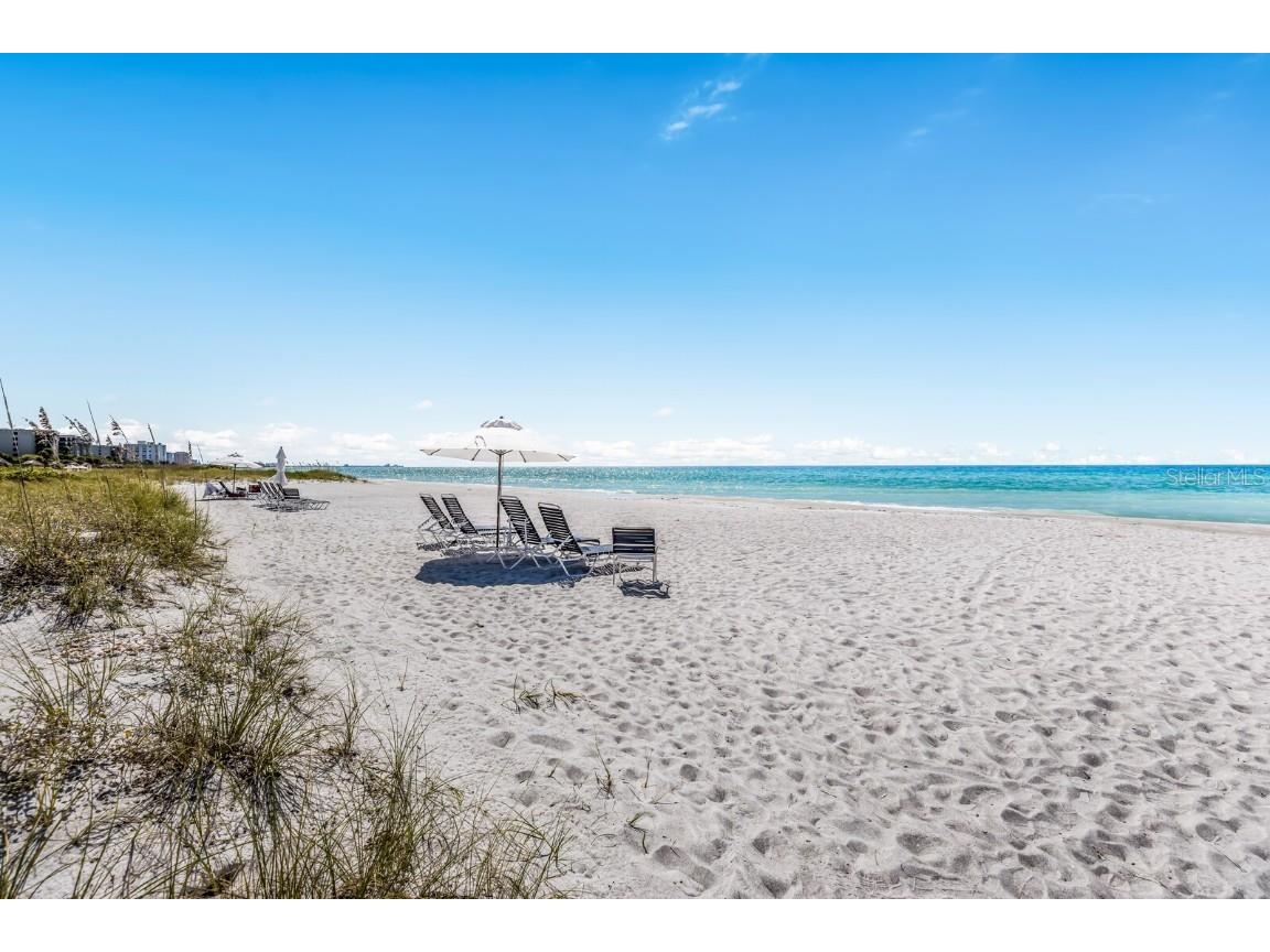 1445 Gulf Of Mexico Drive #304 Longboat Key FL 34228 - GULF OF MEXICO A4663026 image53
