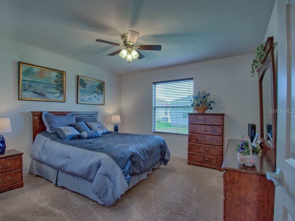 1445 Olympia Street The Villages FL 32163 OM705550 image16