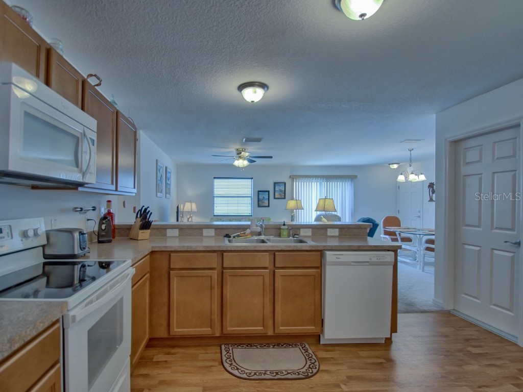 1445 Olympia Street The Villages FL 32163 OM705550 image2