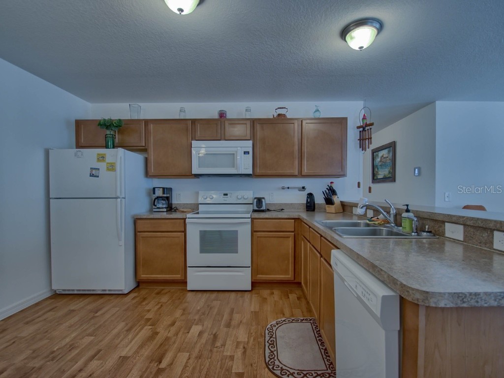 1445 Olympia Street The Villages FL 32163 OM705550 image3