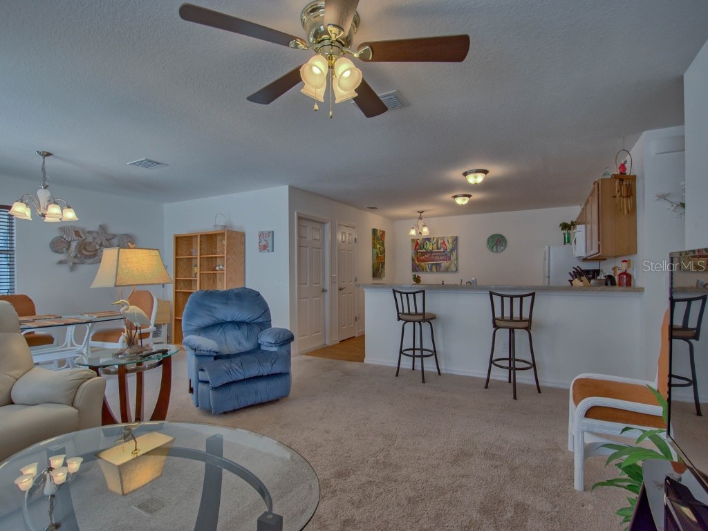 1445 Olympia Street The Villages FL 32163 OM705550 image8