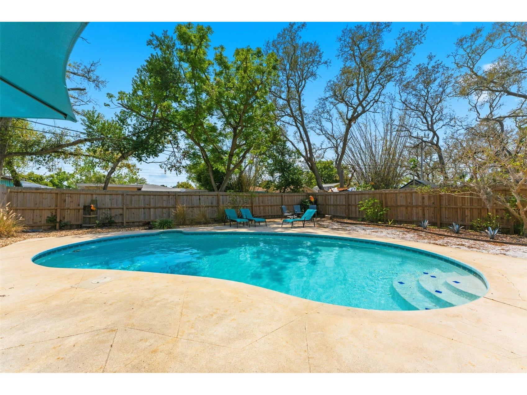 1445 Pine Street Clearwater FL 33756 TB8492077 image25
