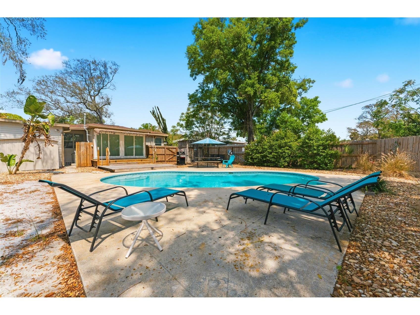 1445 Pine Street Clearwater FL 33756 TB8492077 image28