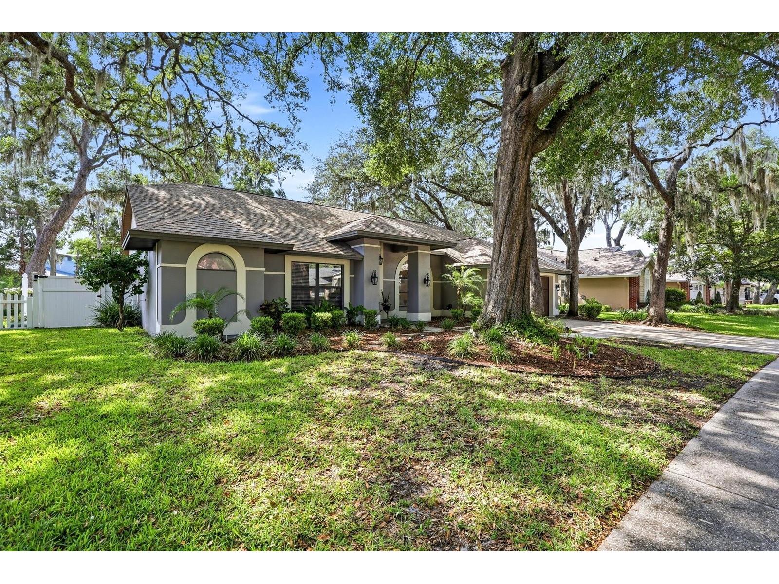 1445 Waterwood Drive Lutz FL 33559 O6405469 image43