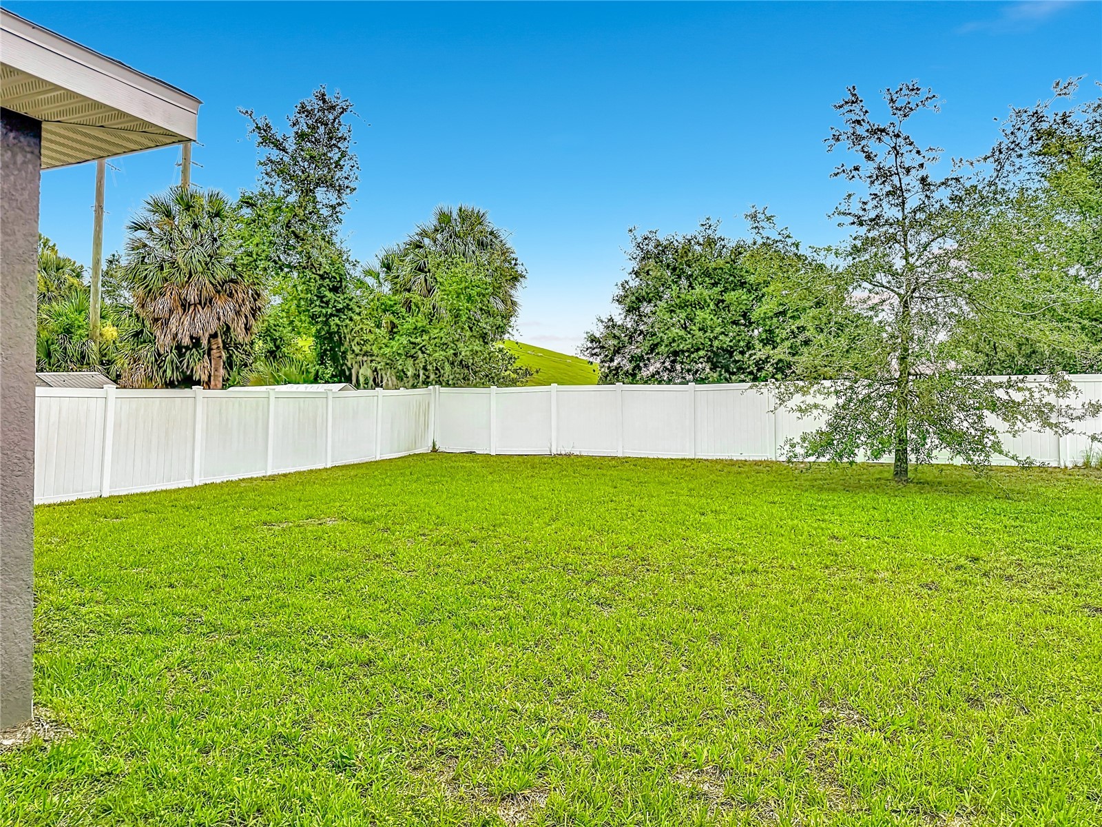 14450 Haddon Mist Drive Wimauma FL 33598 TB8528271 image44