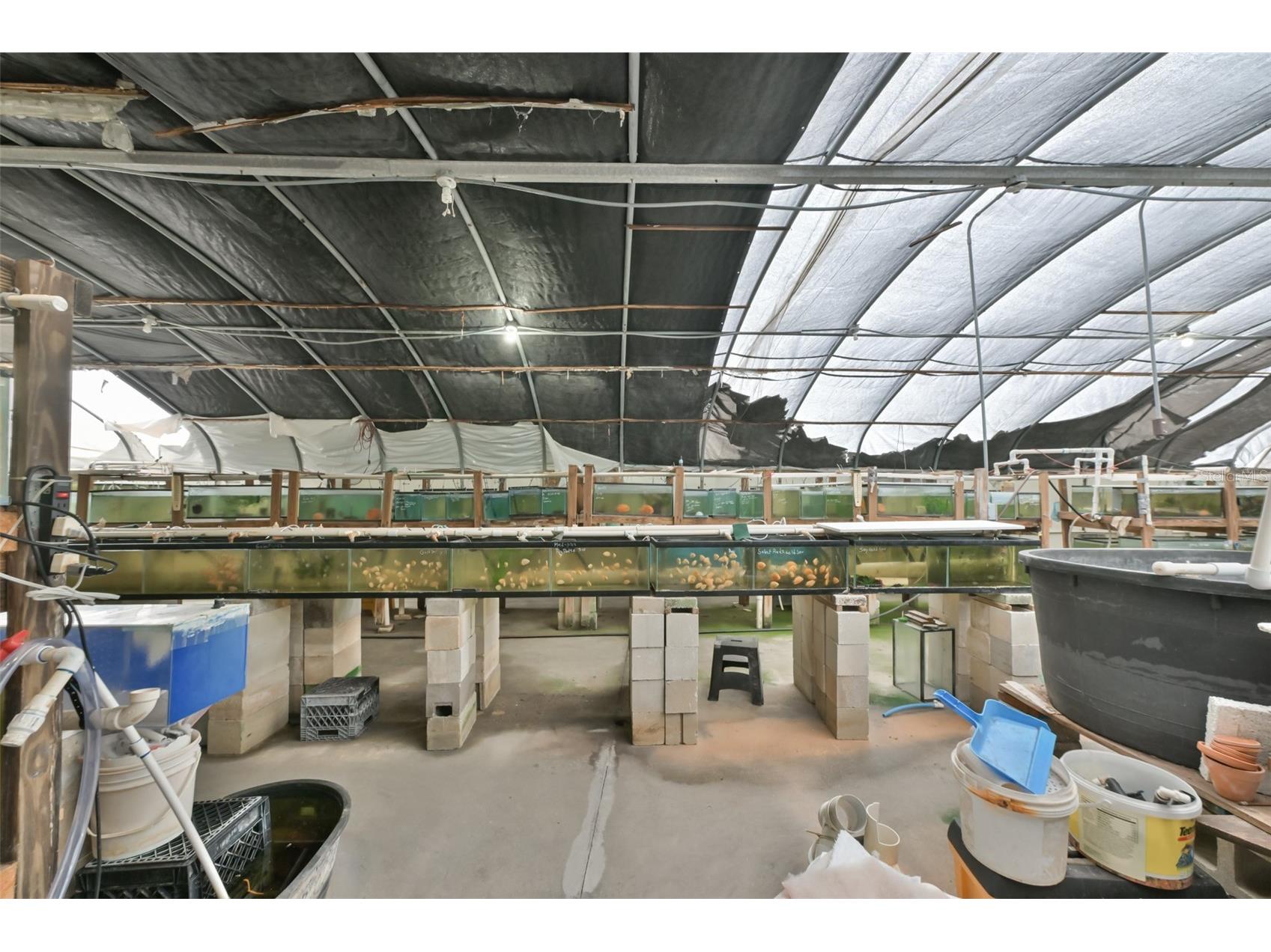 14451 Highland Road Wimauma FL 33598 TB8512848 image46