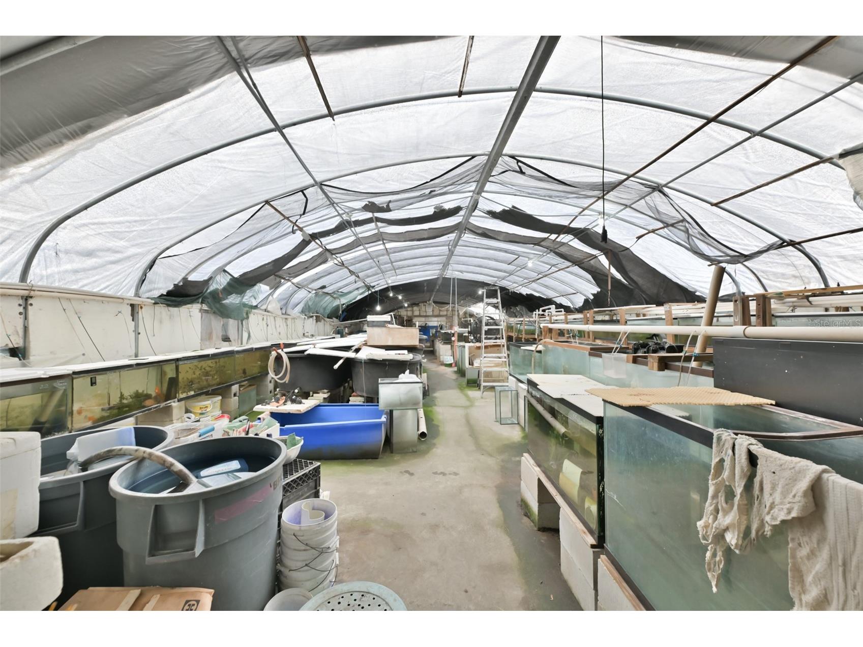 14451 Highland Road Wimauma FL 33598 TB8513210 image29