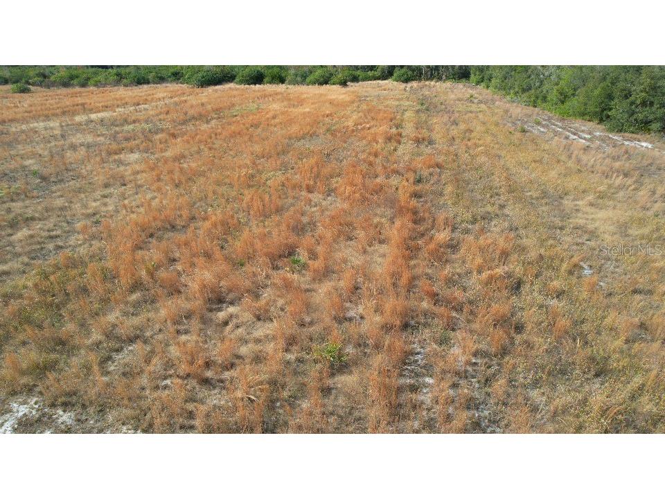 14451 Seminole Trail Wimauma FL 33598 TB8460748 image5