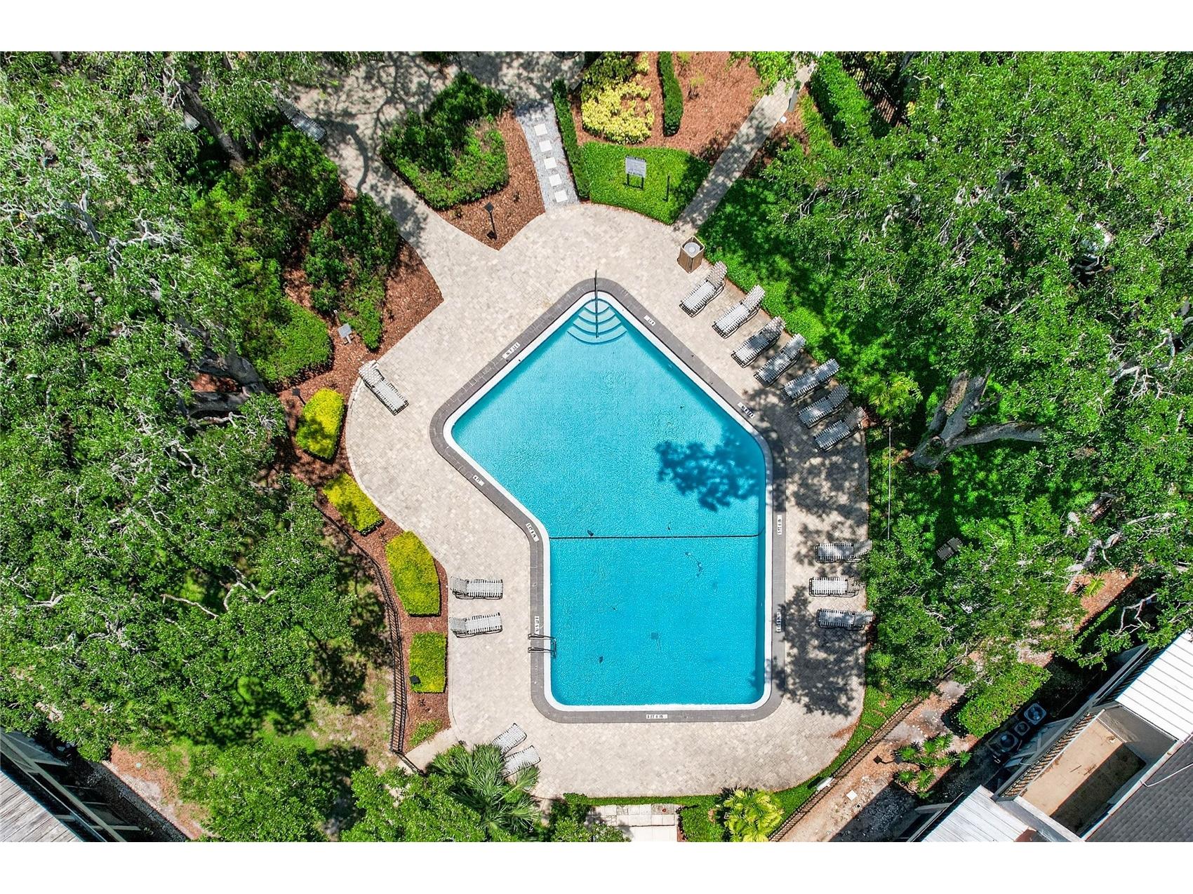 14452 Reuter Strasse #710 Tampa FL 33613 TB8512029 image24
