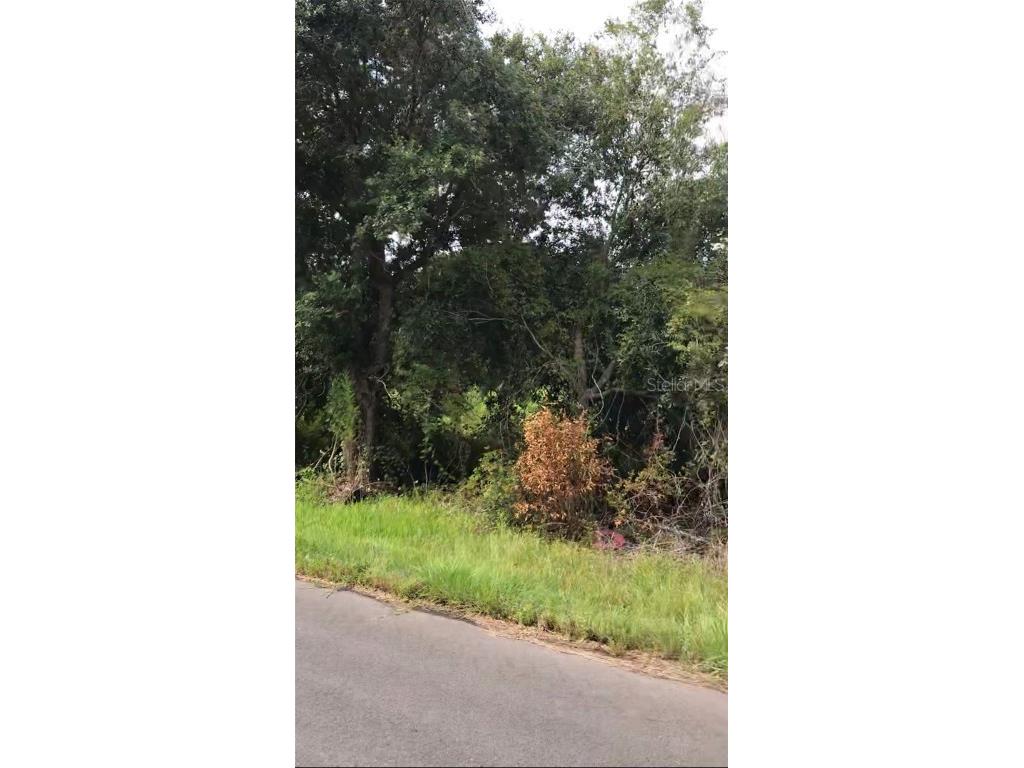 14452 Rowan Avenue Port Charlotte FL 33953 O6077021 image1