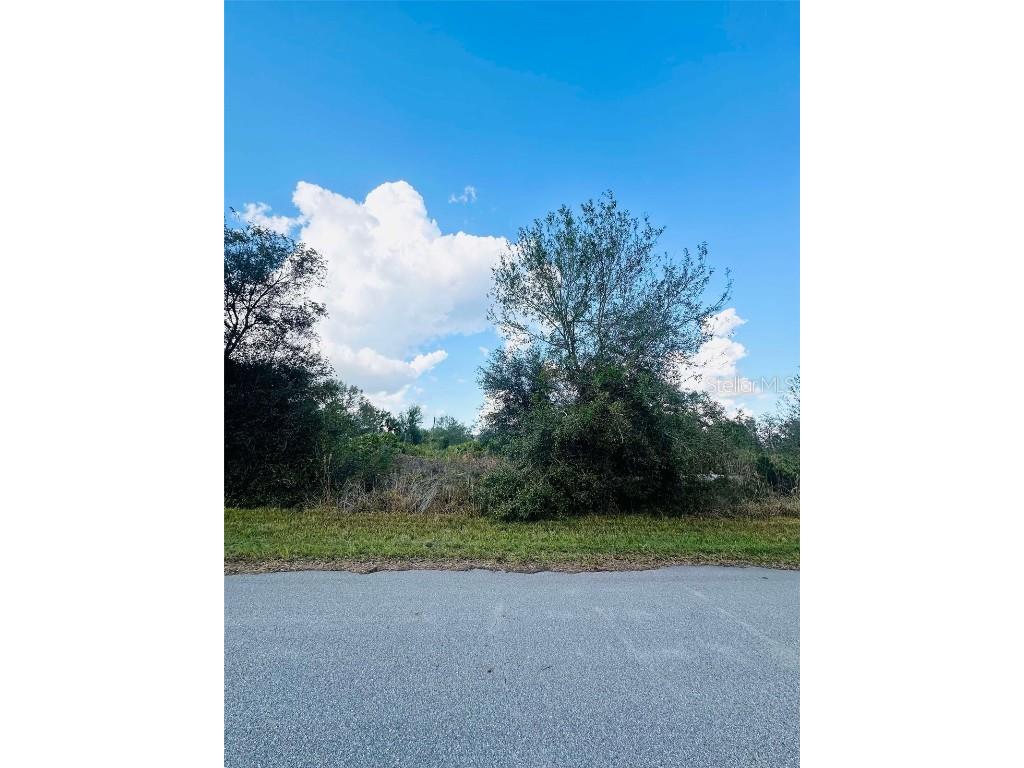 14452 Rowan Avenue Port Charlotte FL 33953 A4633087 image1