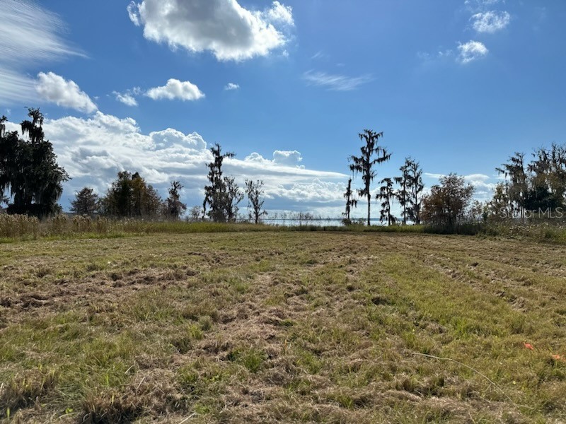 14453 Andalusia Trail Bunnell FL 32110 - Crescent O6325268 image22