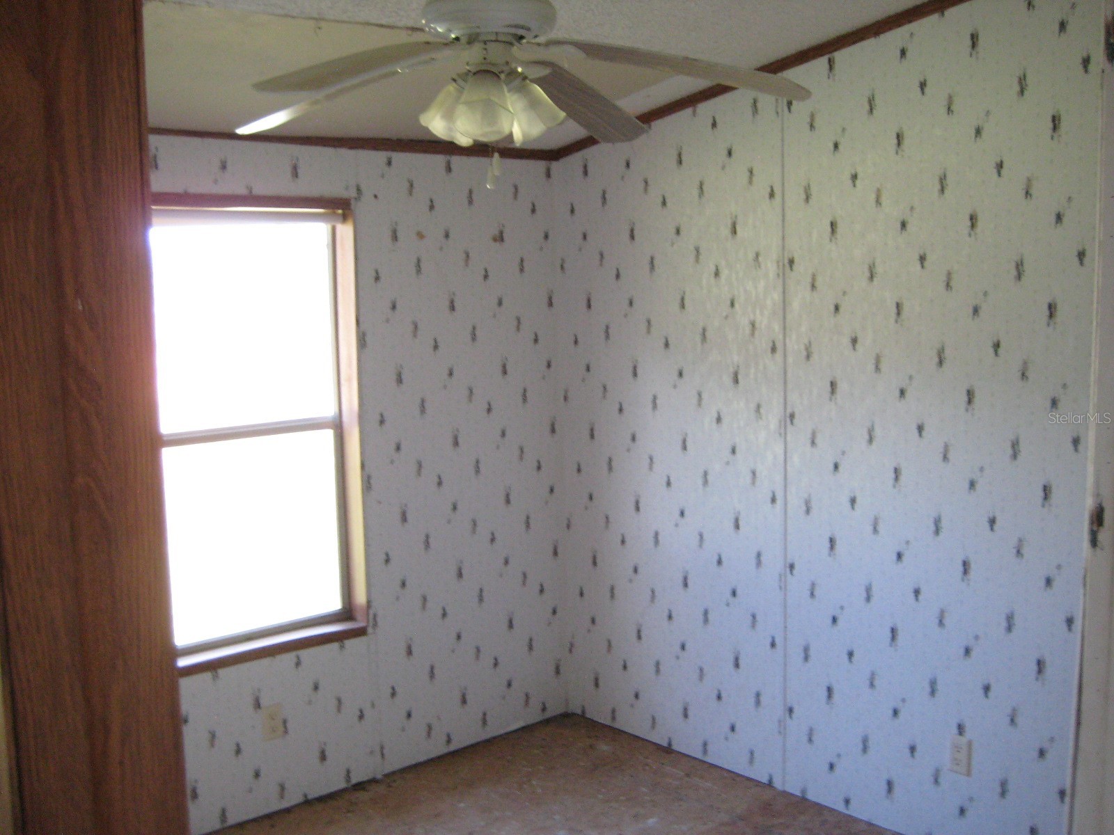 14455 NW 284th Street Okeechobee FL 34972 TB8501243 image5