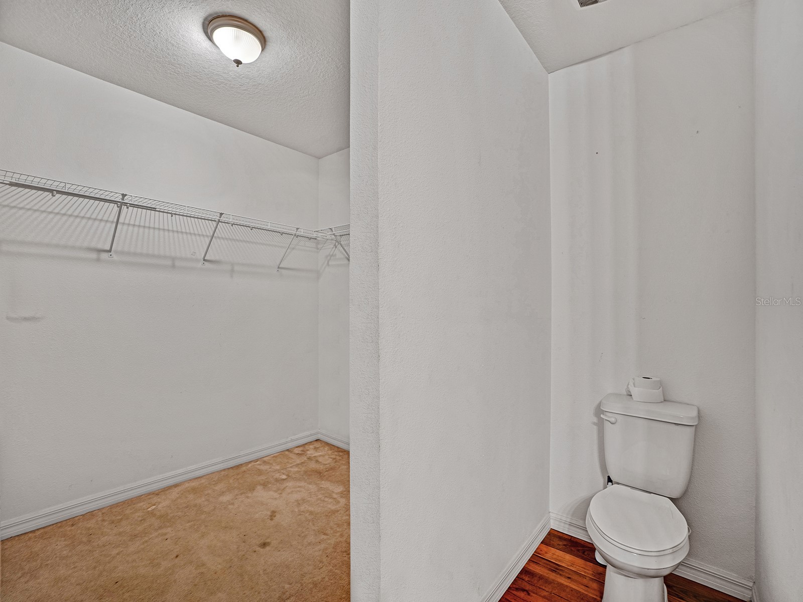 14456 Alistar Manor Drive Wimauma FL 33598 TB8489929 image19