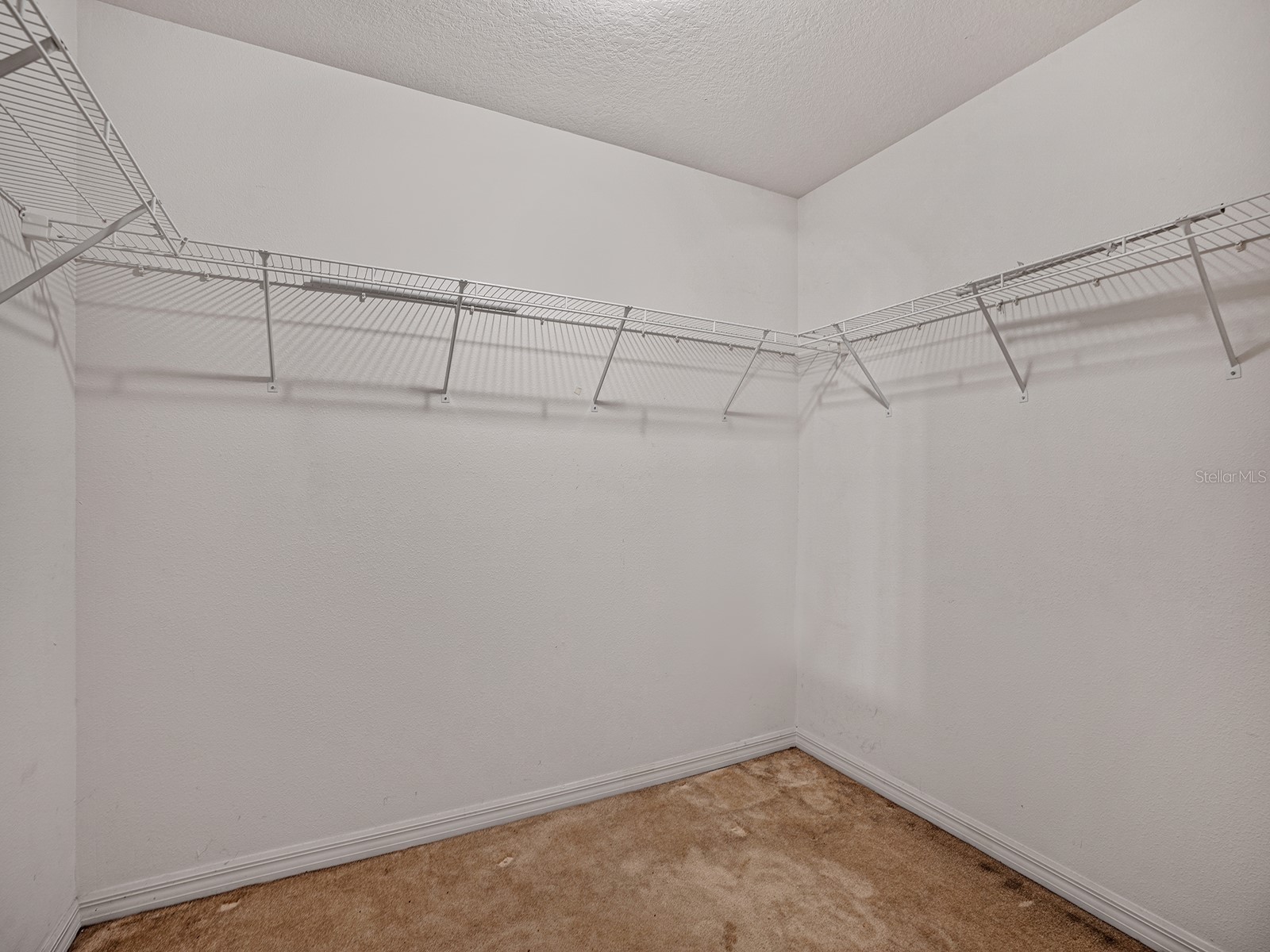 14456 Alistar Manor Drive Wimauma FL 33598 TB8489929 image20