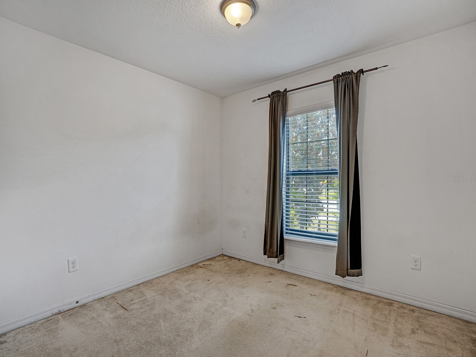 14456 Alistar Manor Drive Wimauma FL 33598 TB8489929 image21