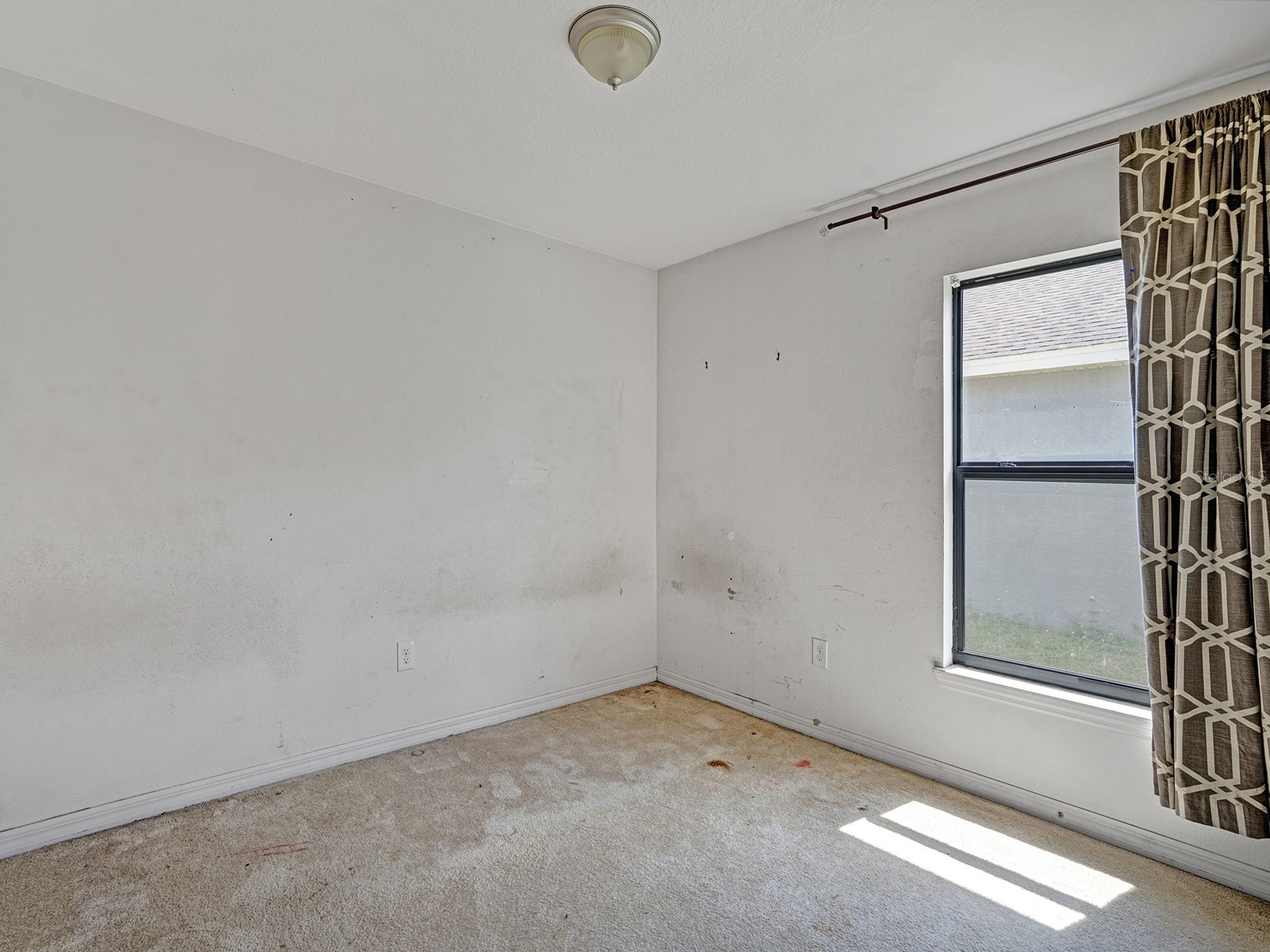 14456 Alistar Manor Drive Wimauma FL 33598 TB8489929 image24