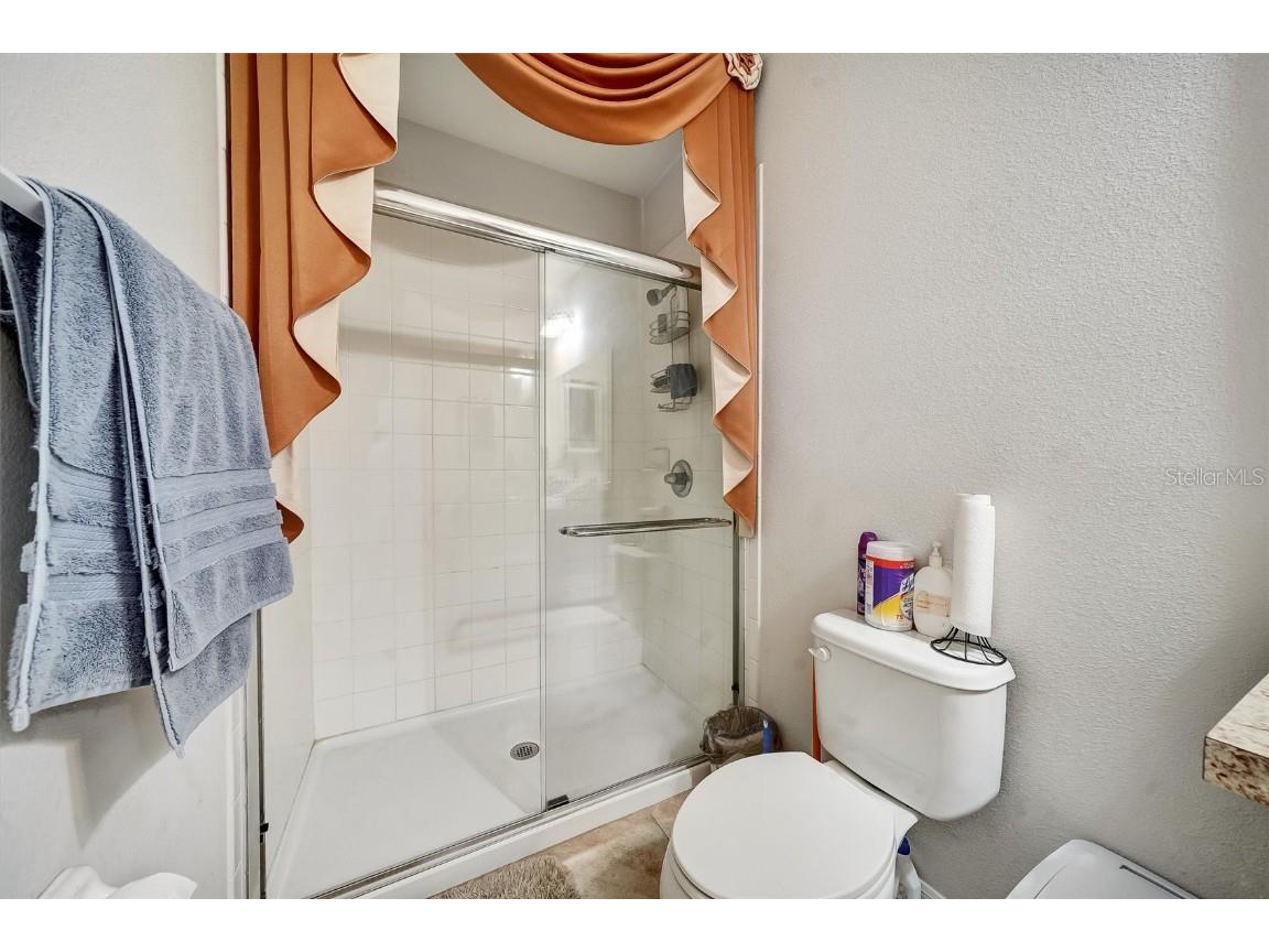 14456 Haddon Mist Drive Wimauma FL 33598 S5132090 image16