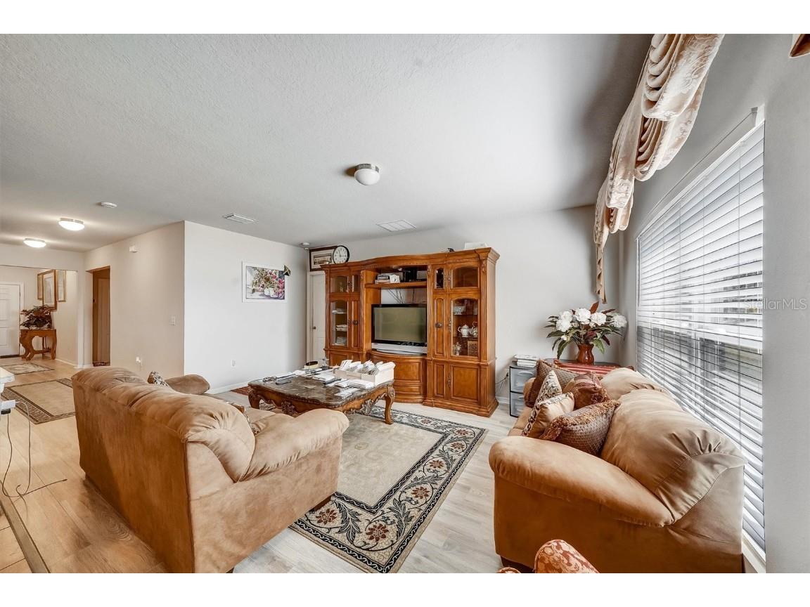 14456 Haddon Mist Drive Wimauma FL 33598 S5132090 image19