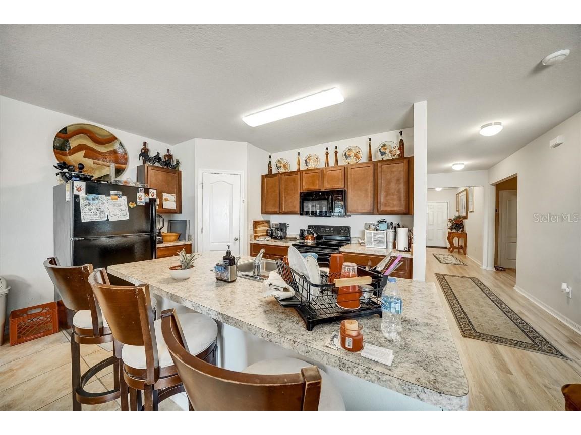 14456 Haddon Mist Drive Wimauma FL 33598 S5132090 image24
