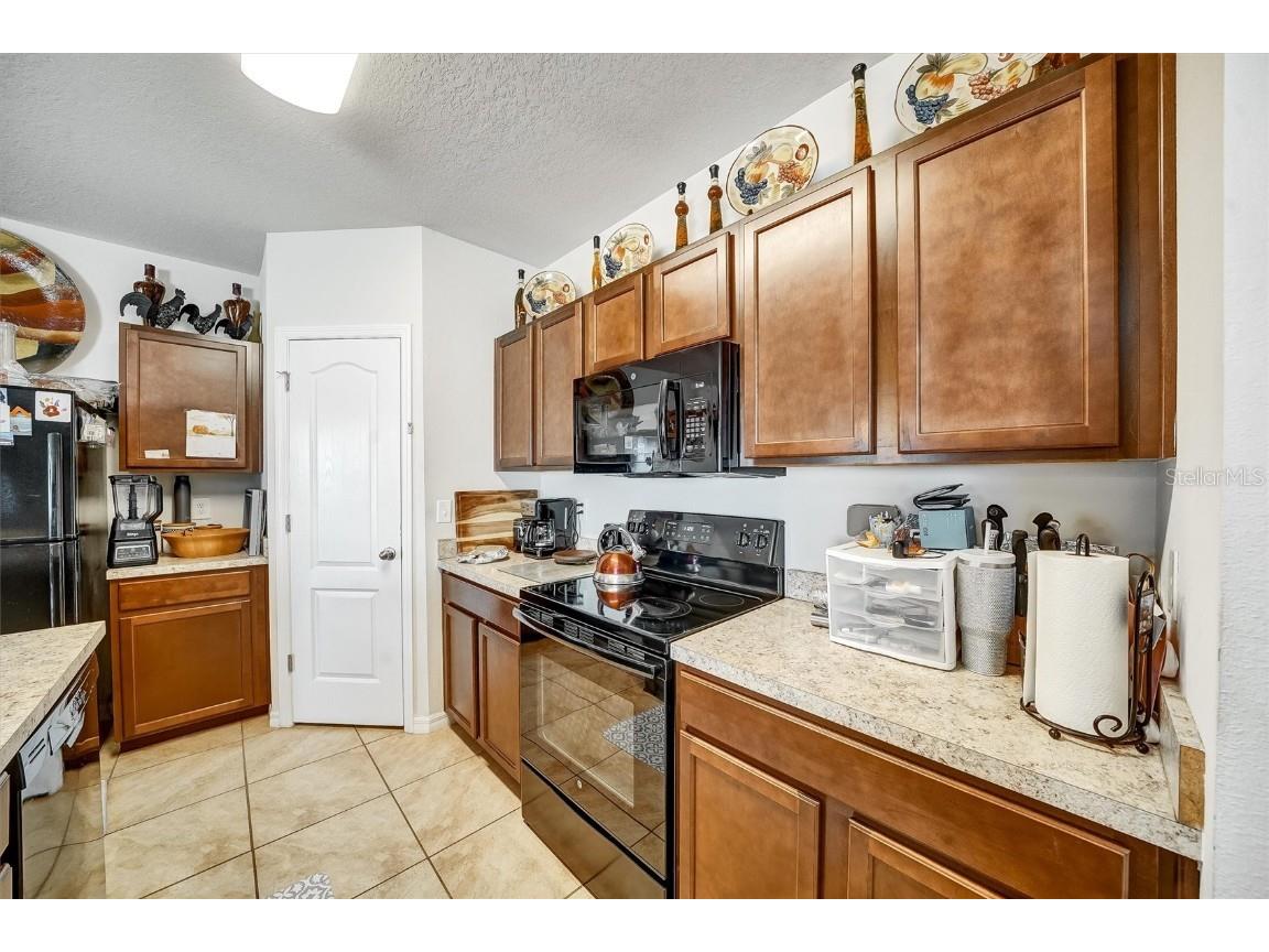 14456 Haddon Mist Drive Wimauma FL 33598 S5132090 image25