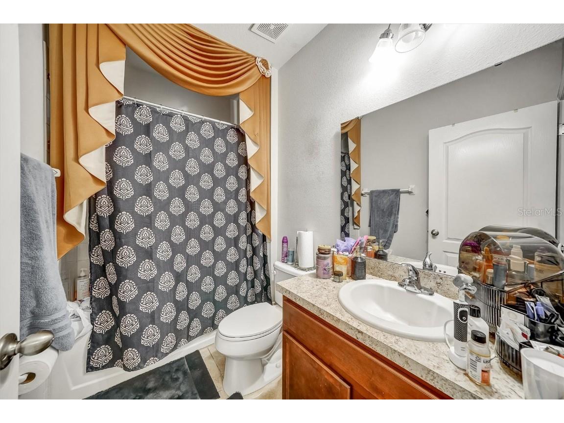 14456 Haddon Mist Drive Wimauma FL 33598 S5132090 image8