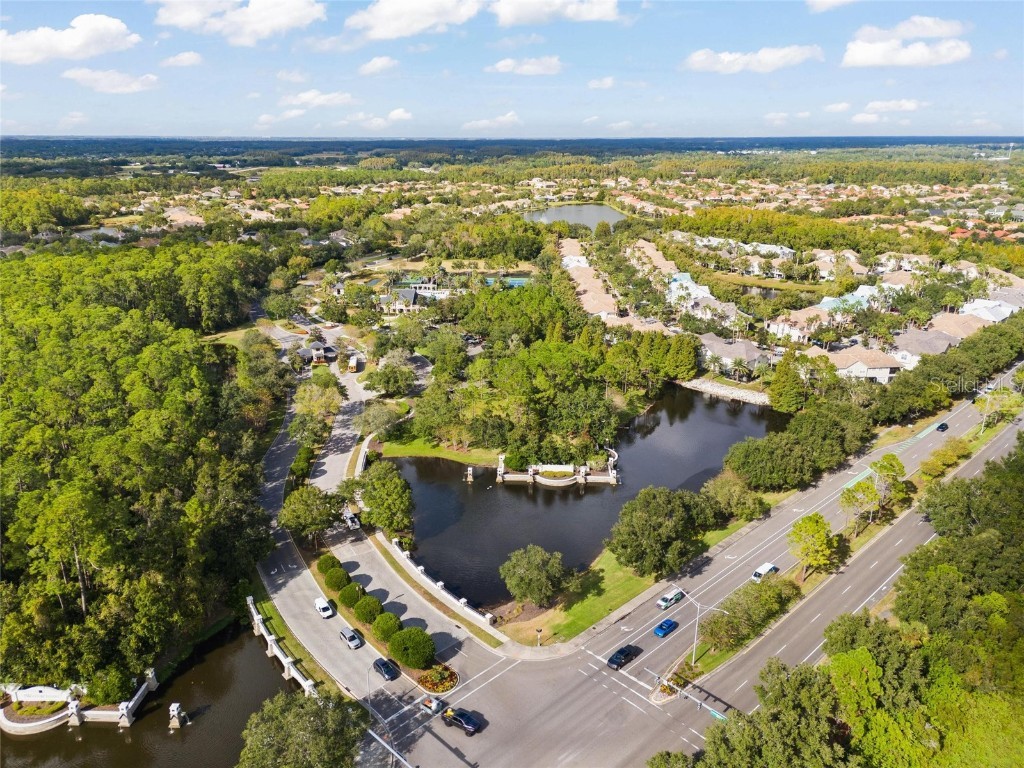 14457 Mirabelle Vista Circle Tampa FL 33626 TB8440877 image5