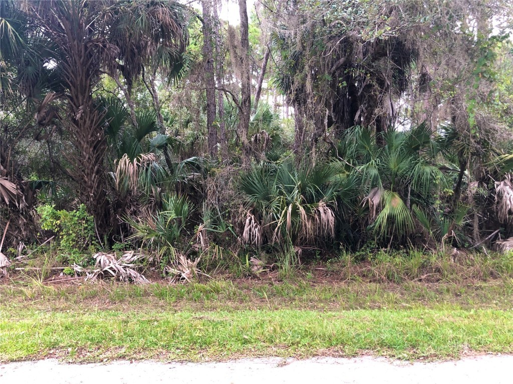 14458 Carousel Lane Port Charlotte FL 33953 D6122082 image1