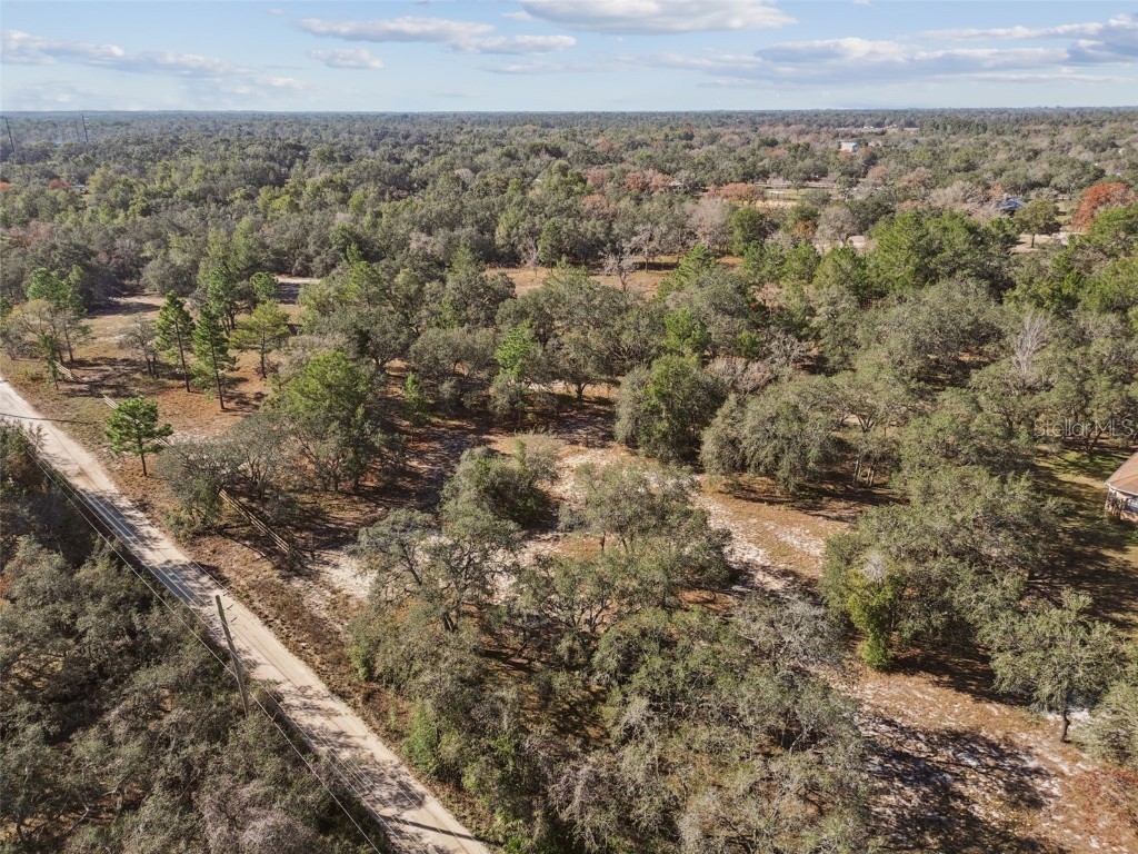 14459 Coyote Road Hudson FL 34669 TB8461832 image10