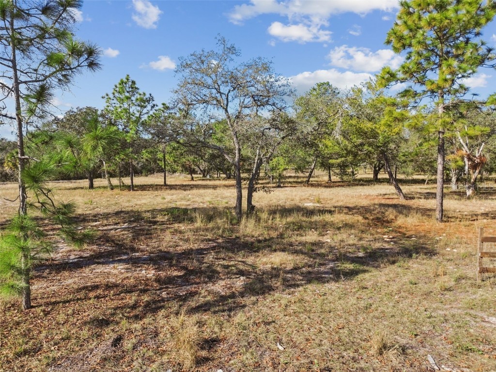 14459 Coyote Road Hudson FL 34669 TB8461832 image16