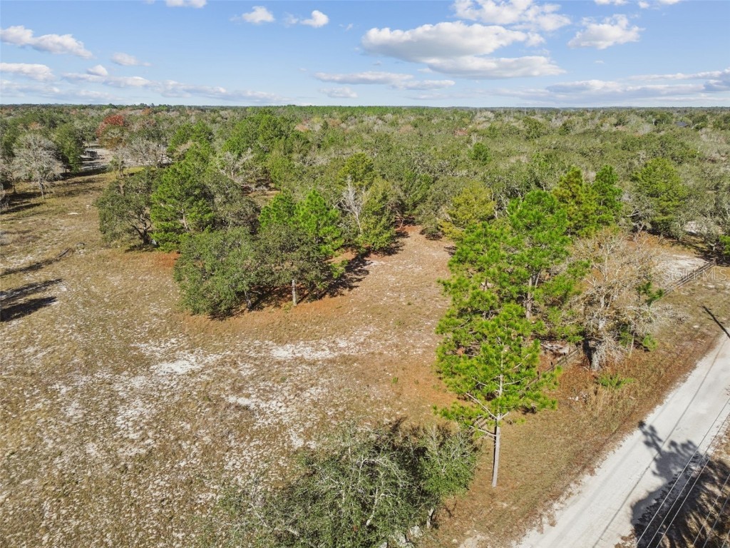 14459 Coyote Road Hudson FL 34669 TB8461832 image19