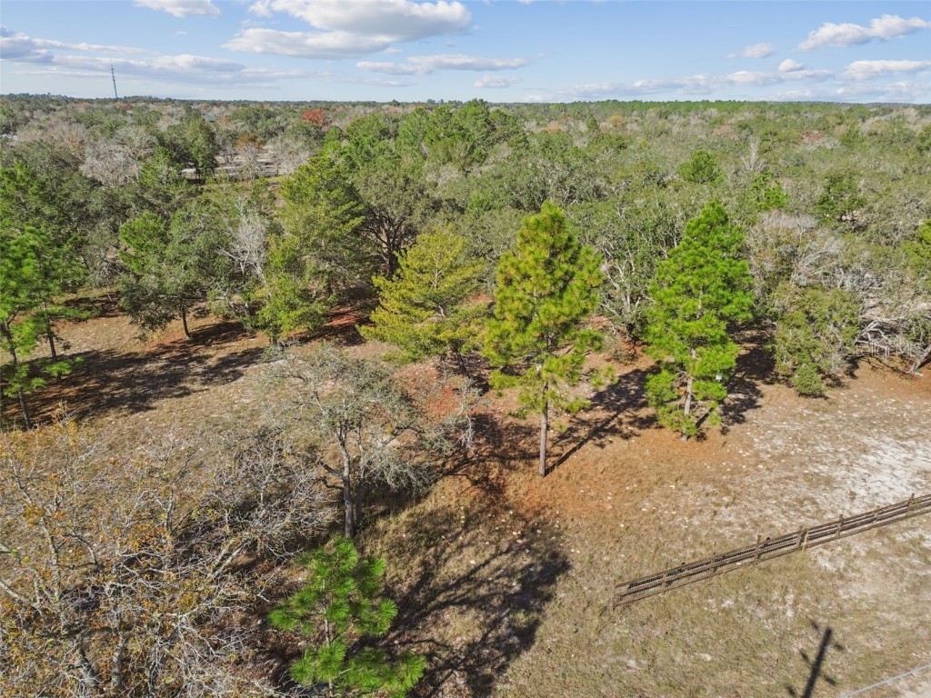 14459 Coyote Road Hudson FL 34669 TB8461832 image20