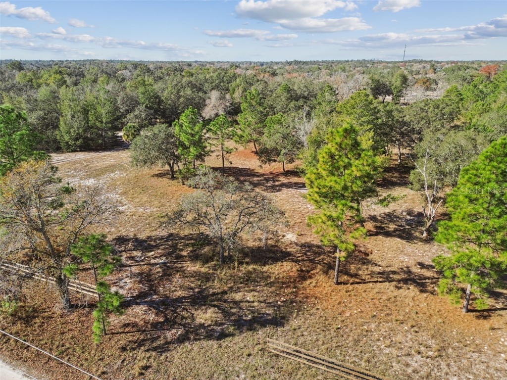 14459 Coyote Road Hudson FL 34669 TB8461832 image21