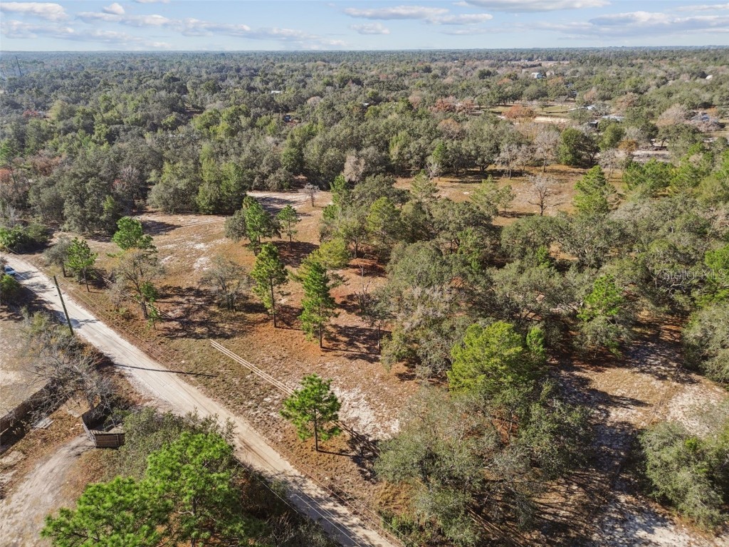 14459 Coyote Road Hudson FL 34669 TB8461832 image23