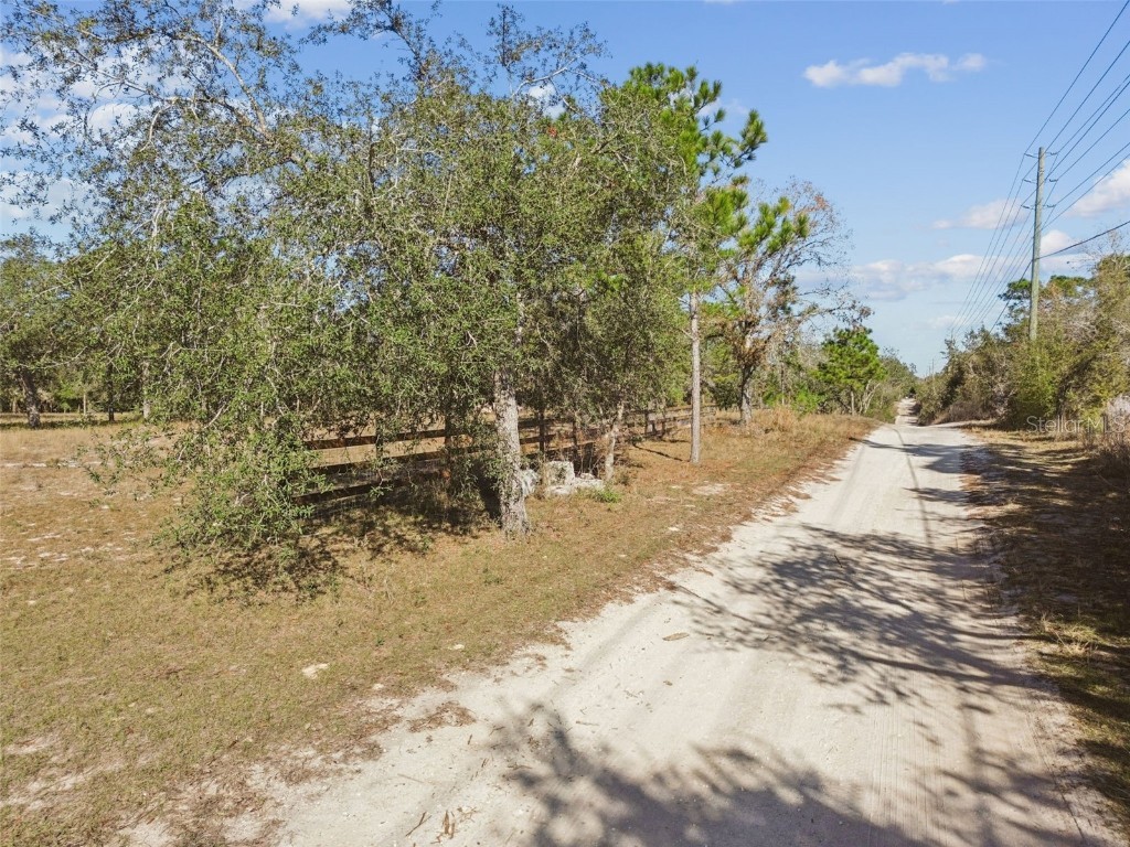 14459 Coyote Road Hudson FL 34669 TB8461832 image3