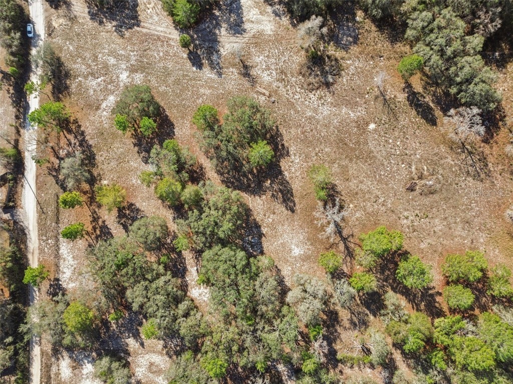 14459 Coyote Road Hudson FL 34669 TB8461832 image32